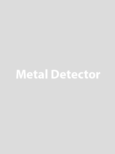 metal detector